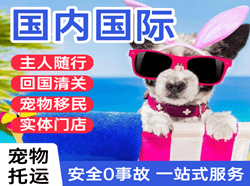 若羌楼兰航空邮寄国际宠物托运 【国